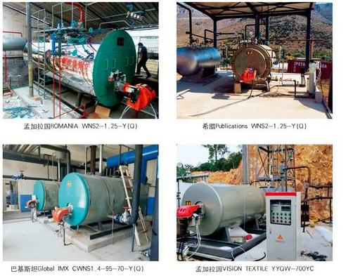 Chaudière à vapeur à gaz d'huile industrielle automatique de la tonne 1-20 de tube de feu de série de WNS